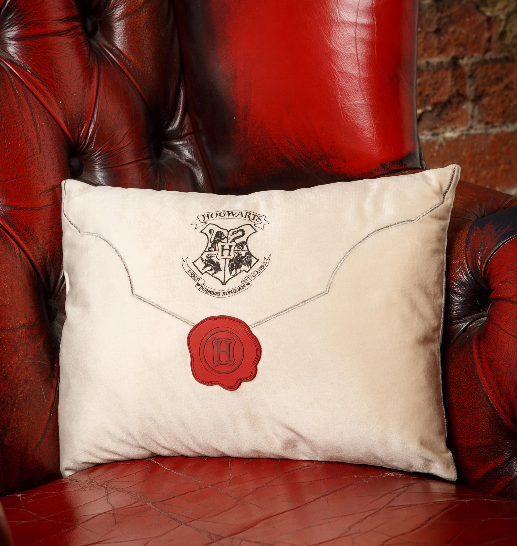 Hogwarts Express Acceptance Letter Cushion - Image 2